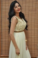 Sanam Shetty Photos at Srimanthudu Audio Release